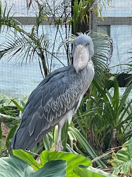 神戸どうぶつ王国に投稿された画像（2022/5/4）