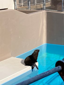 アクアワールド茨城県大洗水族館に投稿された画像（2022/5/4）