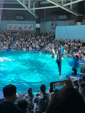 マクセル アクアパーク品川に投稿された画像（2022/5/4）