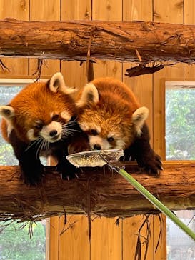 伊豆シャボテン動物公園に投稿された画像（2022/5/4）