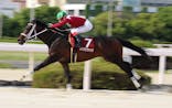 園田競馬場に投稿された画像（2022/5/4）