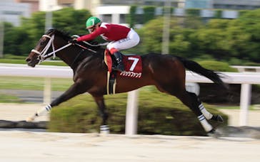園田競馬場に投稿された画像（2022/5/4）