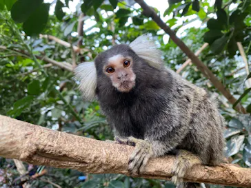 神戸どうぶつ王国に投稿された画像（2022/5/4）