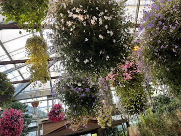 神戸どうぶつ王国に投稿された画像（2022/5/4）