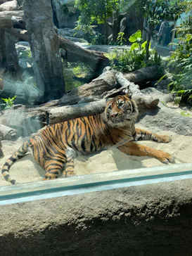 神戸どうぶつ王国に投稿された画像（2022/5/4）