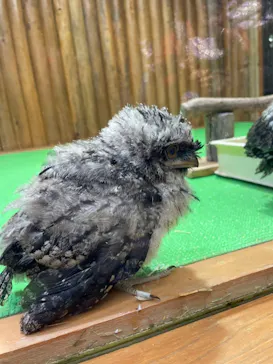 神戸どうぶつ王国に投稿された画像（2022/5/4）