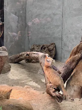 神戸どうぶつ王国に投稿された画像（2022/5/4）