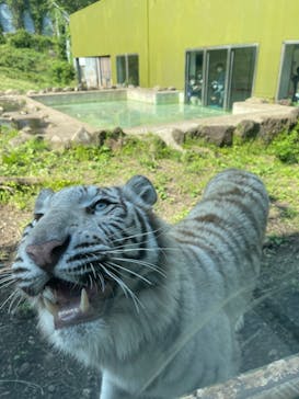 伊豆アニマルキングダムに投稿された画像（2022/5/4）