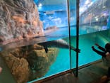 しながわ水族館に投稿された画像（2022/5/4）