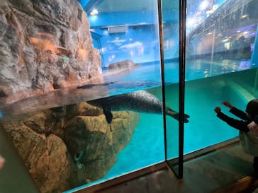 しながわ水族館に投稿された画像（2022/5/4）