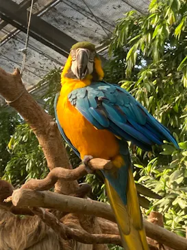 神戸どうぶつ王国に投稿された画像（2022/5/4）