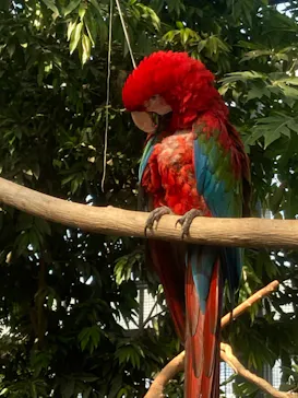 神戸どうぶつ王国に投稿された画像（2022/5/4）