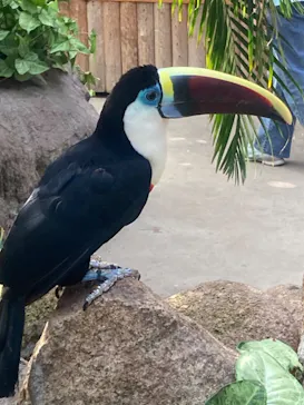 神戸どうぶつ王国に投稿された画像（2022/5/4）