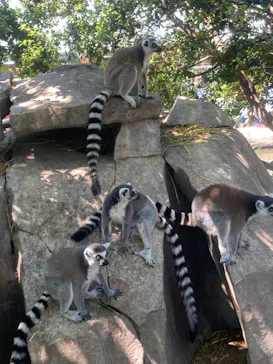 神戸どうぶつ王国に投稿された画像（2022/5/4）