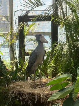 神戸どうぶつ王国に投稿された画像（2022/5/4）