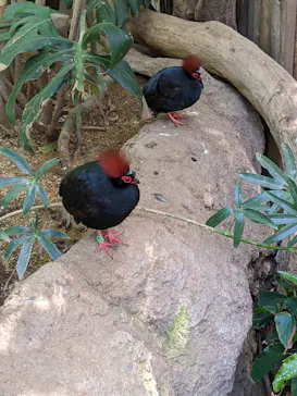 神戸どうぶつ王国に投稿された画像（2022/5/4）