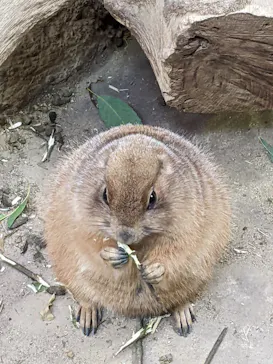神戸どうぶつ王国に投稿された画像（2022/5/4）