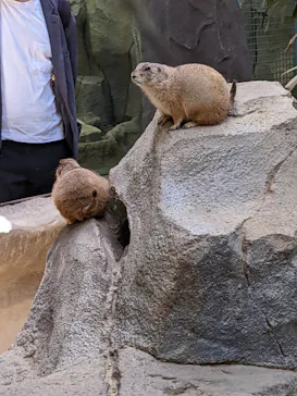 神戸どうぶつ王国に投稿された画像（2022/5/4）