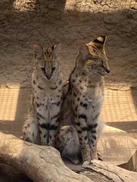 神戸どうぶつ王国に投稿された画像（2022/5/4）