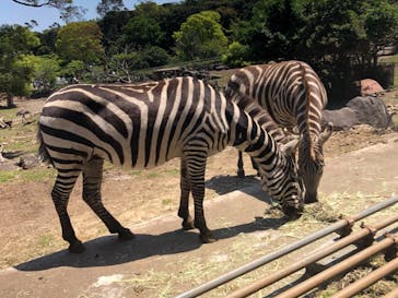 伊豆アニマルキングダムに投稿された画像（2022/5/4）