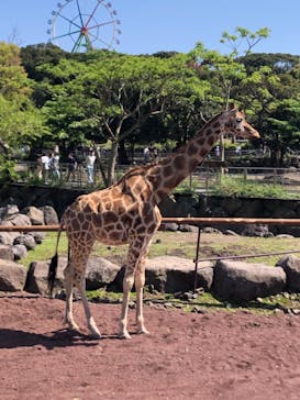 伊豆アニマルキングダムに投稿された画像（2022/5/4）