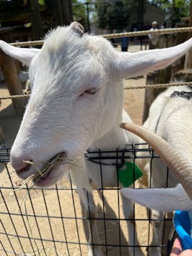 東武動物公園に投稿された画像（2022/5/4）