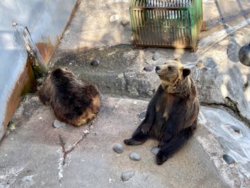 のぼりべつクマ牧場に投稿された画像（2022/5/4）