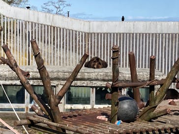 のぼりべつクマ牧場に投稿された画像（2022/5/4）