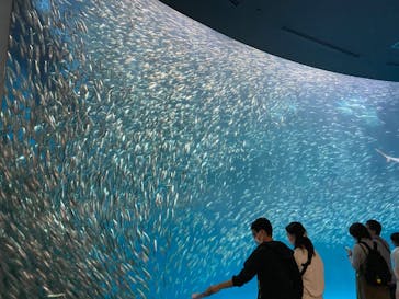 名古屋港水族館に投稿された画像（2022/5/4）