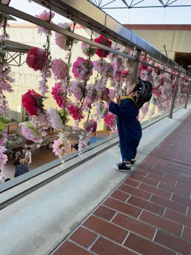 野外民族博物館 リトルワールドに投稿された画像（2022/5/4）