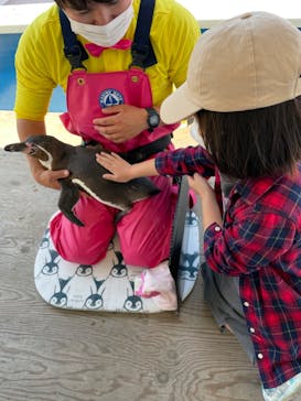 南知多ビーチランド＆南知多おもちゃ王国に投稿された画像（2022/5/4）