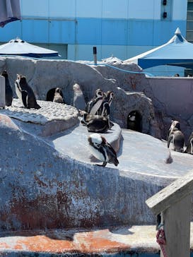 南知多ビーチランド＆南知多おもちゃ王国に投稿された画像（2022/5/4）