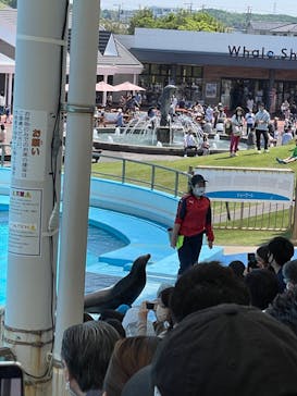 南知多ビーチランド＆南知多おもちゃ王国に投稿された画像（2022/5/4）