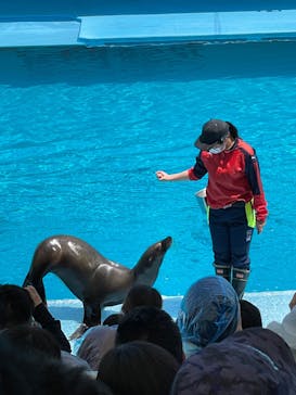 南知多ビーチランド＆南知多おもちゃ王国に投稿された画像（2022/5/4）