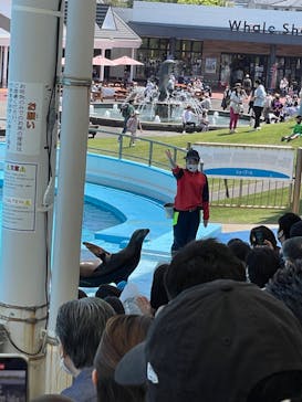 南知多ビーチランド＆南知多おもちゃ王国に投稿された画像（2022/5/4）