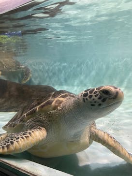 マリンワールド海の中道に投稿された画像（2022/5/4）
