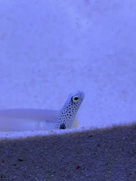 マリンワールド海の中道に投稿された画像（2022/5/4）