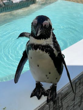 マリンワールド海の中道に投稿された画像（2022/5/4）