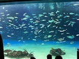 サンシャイン水族館に投稿された画像（2022/5/4）