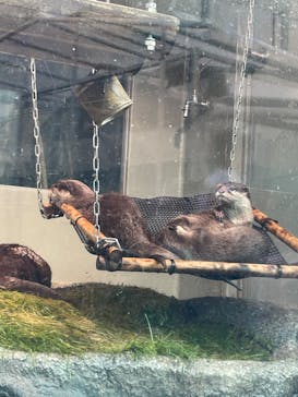 サンシャイン水族館に投稿された画像（2022/5/4）