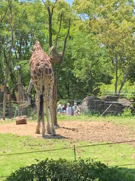 天王寺動物園に投稿された画像（2022/5/4）