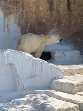 天王寺動物園に投稿された画像（2022/5/4）