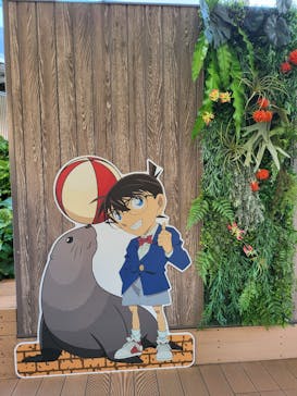 サンシャイン水族館に投稿された画像（2022/5/4）