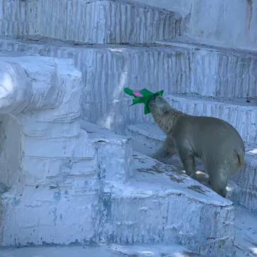 天王寺動物園に投稿された画像（2022/5/4）
