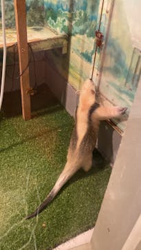 伊豆シャボテン動物公園に投稿された画像（2022/5/4）