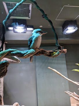 カワスイ 川崎⽔族館に投稿された画像（2022/5/4）