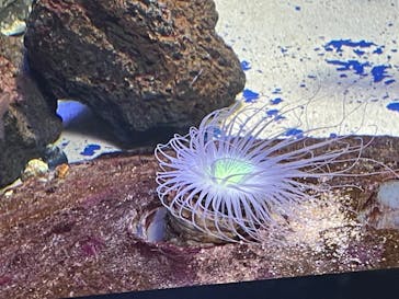 サンシャイン水族館に投稿された画像（2022/5/4）