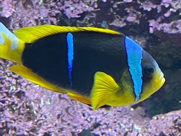 サンシャイン水族館に投稿された画像（2022/5/4）