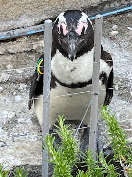 サンシャイン水族館に投稿された画像（2022/5/4）