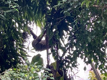 長崎バイオパークに投稿された画像（2022/5/4）